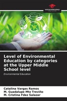 M. Cristina Fdez Salazar, M. Guadalupe Mtz Trevi&ntilde;o, Catalina Vargas Ramos - Level of Environmental Education by categories at the Upper Middle School level