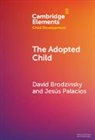 David Brodzinsky, David (Rutgers University) Palacios Brodzinsky, Jesus Palacios, Palacios Jesus - Adopted Child