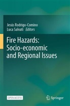 Jes&uacute;s Rodrigo-Comino, Salvati, Luca Salvati - Fire Hazards: Socio-economic and Regional Issues