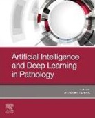 Stanley Cohen - Artificial Intelligence and Deep Learning in Pathology