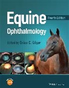 Gilger, Brian C. (North Carolina State University) Gilger, Brian C Gilger, Brian C. Gilger, Gilger Brian C. - Equine Ophthalmology
