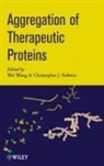 Wei Roberts Wang, WANG WEI ROBERTS CHRISTOPHER J, J Roberts, Christopher J. Roberts, Roberts Christopher J., Wei Wang - Aggregation of Therapeutic Proteins