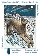 Flame Tree Publishing - Angela Harding: Shooting Stars (Foiled Quarto Journal)