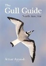 Amar Ayyash - Gull Guide