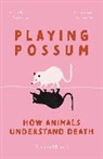 Susana Monso, Susana Mons&oacute; - Playing Possum