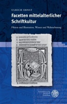 Ulrich Ernst - Facetten mittelalterlicher Schriftkultur