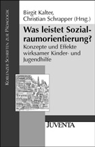 Kalter, Birgi Kalter, Birgit Kalter, Schrapper, Christian Schrapper - Was leistet Sozialraumorientierung?
