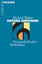 Michael Walter - Haydns Sinfonien