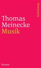 Thomas Meinecke - Musik