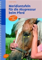Lisbeth Traffelet - Meridiantafeln f&uuml;r die Akupressur beim Pferd