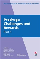 Ronal Borchardt, Ronald Borchardt, Ronald J. Borchardt, Ronald T. Borchardt, Michael Hageman, Michael J. Hageman... - Prodrugs, 2 Vols.
