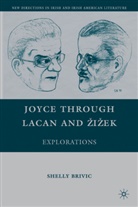 S Brivic, S. Brivic, Shelly Brivic, BRIVIC SHELLY - Joyce Through Lacan and Zizek