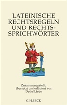 Detlef Liebs, Praxedis M&ouml;ring, Gallus Strobel - Lateinische Rechtsregeln und Rechtssprichw&ouml;rter