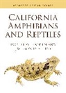Robert Hansen, Robert Shedd Hansen, Robert W. Hansen, Robert W. Shedd Hansen, Hansen Robert, Jackson D. Shedd - California Amphibians and Reptiles