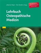 Johannes Mayer, Clive Standen, Johannes Mayer, Standen, Clive Standen - Lehrbuch Osteopathische Medizin