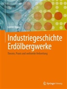 G&uuml;nter Bauer - Industriegeschichte Erd&ouml;lbergwerke