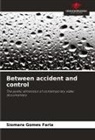 Siomara Gomes Faria - Between accident and control