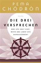 Pema Ch&ouml;dr&ouml;n - Die drei Versprechen. Was uns Halt gibt, wenn das Leben uns herausfordert