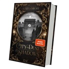 Lara Gro&szlig;e - City of Dust and Shadows