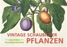 Anaconda Verlag, Anaconda Verlag - Postkarten-Set Vintage-Schaubilder Pflanzen