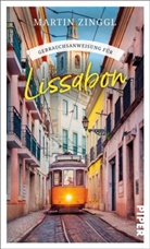 Martin Zinggl - Gebrauchsanweisung f&uuml;r Lissabon