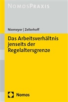 Willem Niemeyer, Saskia Constanze Zellerhoff - Das Arbeitsverh&auml;ltnis jenseits der Regelaltersgrenze
