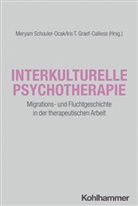 Anil Batra, Anil Batra u a, Iris T. Graef-Calliess, Alexandra Philipsen, Meryam Schouler-Ocak, T Graef-Calliess... - Interkulturelle Psychotherapie