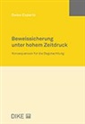 Guy Lanfranconi, Martin Lory, Markus L&uuml;thi, Ernst Moor, Gabor Piskoty, Janic Schwizgebel... - Beweissicherung unter hohem Zeitdruck