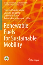 Avinash Kumar Agarwal, Giacomo Belgiorno, Gabriele  Di Blasio, Gabriele Di Blasio, Gabriele Di Blasio et al, Pravesh Chandra Shukla - Renewable Fuels for Sustainable Mobility