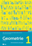 DMK Deutschschweizerische Mathematikkommission, Michael Graf, Heinz Klemenz - Geometrie 1 - Kommentierte L&ouml;sungen (Print inkl. E-Book Edubase)