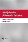 Svetlin Georgiev, Svetlin Zennir Georgiev, Georgiev Svetlin, Khaled Zennir - Multiplicative Differential Calculus