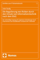 Julian Zaudig - Die Regulierung von Risiken durch den Einsatz von Informationstechnik nach dem BSIG