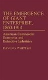 David O. Whitten, Whitten David O. - The Emergence of Giant Enterprise, 1860-1914
