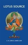 James Low - Lotus Source