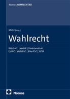 Fabian Michl - Wahlrecht