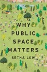 Setha Low, Setha (Distinguished Professor of Anthropolog Low, Low Setha - Why Public Space Matters