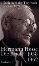 Hermann Hesse, Volker Michels - &raquo;Noch lacht der Tag, noch ist er nicht zu Ende&laquo;