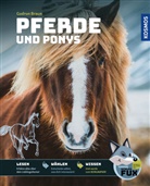 Gudrun Braun - Kosmos SchlauFUX - Pferde und Ponys