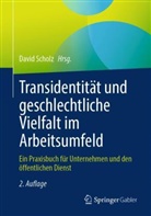 David Scholz - Transidentit&auml;t und geschlechtliche Vielfalt im Arbeitsumfeld