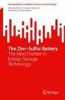 Ahmad Amiri, Andreas A. Polycarpou, Hossein Shahali - The Zinc-Sulfur Battery