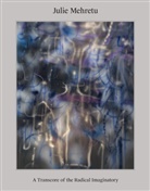 Daniel Boyd, Suzanne Cotter, Jane et al Devery, Suzanne Cotter - Julie Mehretu: A Transcore of the Radical Imaginatory - Visionary Art in a Global Context. Exhibition Catalogue / Art Monograph