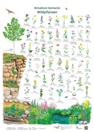 Dirk Kr&uuml;ger, Doris Sch&ouml;nhoff - Klimafeste heimische Wildpflanzen