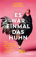 Astrid Drapela - Es war einmal das Huhn