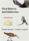 Georg F. Striedter, Andrew Iwaniuk, Andrew N Iwaniuk, Andrew N. Iwaniuk, Georg Striedter, Georg F Striedter... - Bird Brains and Behavior