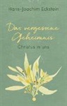 Hans-Joachim Eckstein - Das vergessene Geheimnis