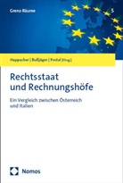 Peter Bu&szlig;j&auml;ger, Esther Happacher, Gianfranco Postal - Rechtsstaat und Rechnungsh&ouml;fe