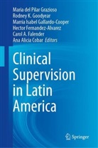 Ana Alicia Cobar, Maria del Pilar Grazioso, Carol A. Falender, Hector Fernandez-Alvarez, Marria Isabel Gallardo-Cooper, Rodney K. Goodyear... - Clinical Supervision in Latin America