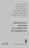 Thomas Sablowski, Bernd Belina, Alex Demirovic, Susanne Heeg, Susanne Heeg u a, Sebastian Klauke... - Multiple Krise und neue Konstellationen des Kapitalismus