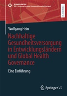 Wolfgang Hein - Nachhaltige Gesundheitsversorgung in Entwicklungsl&auml;ndern und Global Health Governance