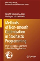 Welington L de Oliveira, Welington Luis de Oliveira, Wim Stefanus van Ackooij - Methods of Nonsmooth Optimization in Stochastic Programming